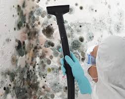 Best Mold Remediation for Healthcare Facilities  in Mission, KS